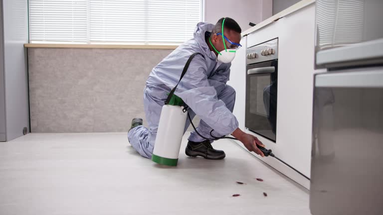 Professional Pest Control in Watts Mills, SC